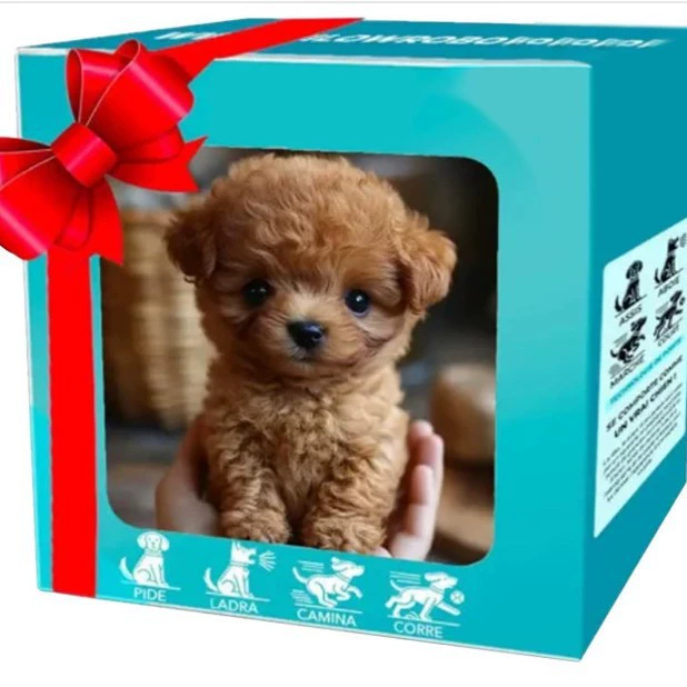 Робот-щенок Мой робот-щенок Короткая мягкая кукла