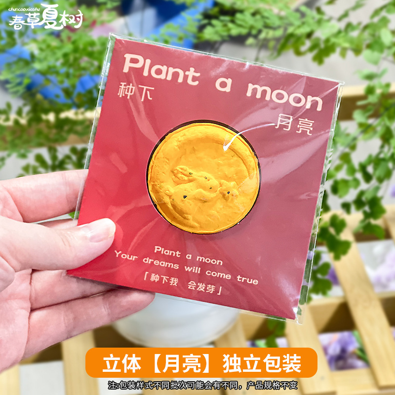 小さな赤い花を贈りましょう。子供たちが種まきや発芽をしたり、コンサートの記念品として使用したりできる立体的な環境に優しい種子紙です。|undefined