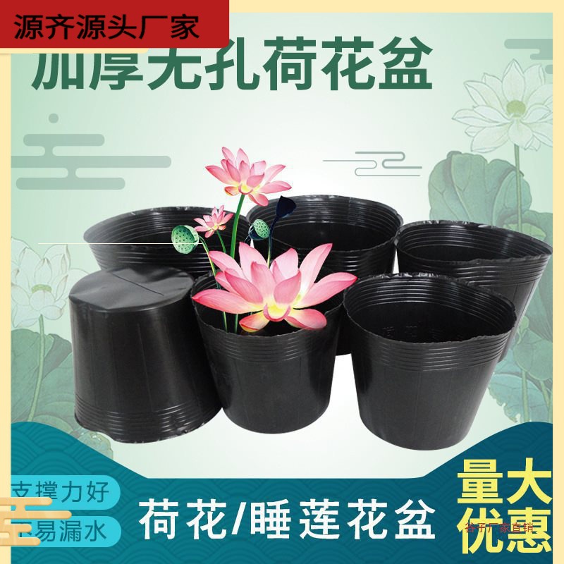Factory wholesale plastic lotus pot thickened perforated anti -aging…