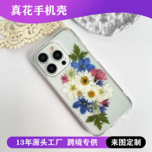 小清新雏菊真花干花滴胶适用苹果16手机壳iphone17热卖新款手机壳