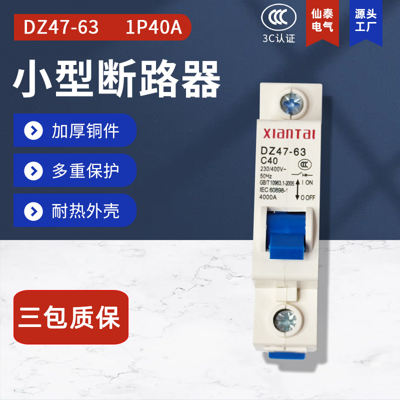仙泰1P40低压断路器 DZ47-63空气开关 厂家供应C40小型断路器