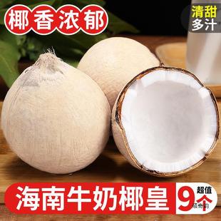 ����ţ��Ҭ��9���bҬ�ஔ�����u����Ҭ����Ҭ��Ҭ֭����3���l