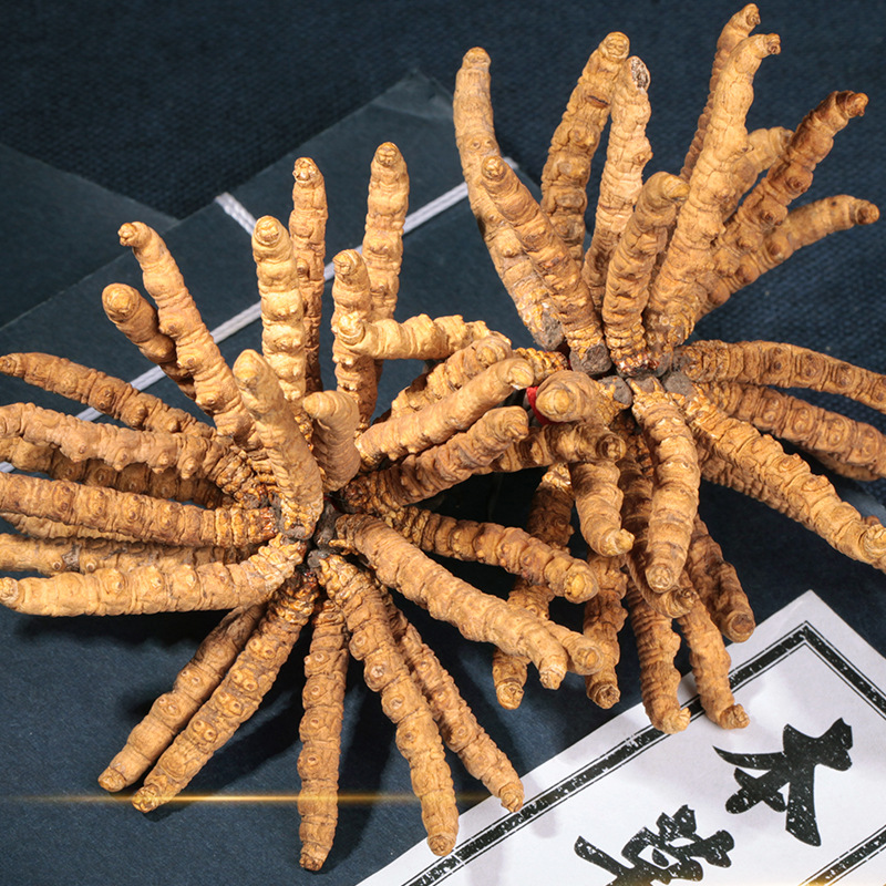 Wholesale Dry Cordyceps Sinensis from Nagqu, Tibet, Originating from Qinghai, Tibet, High Altitude Supply, First-Hand Source, Distributor