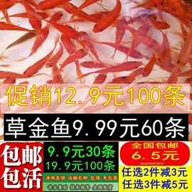 过家家玩具;童车座椅配件;积木类