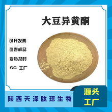 大豆异黄酮原料大豆提取物 营养强化剂食品级大豆异黄酮粉