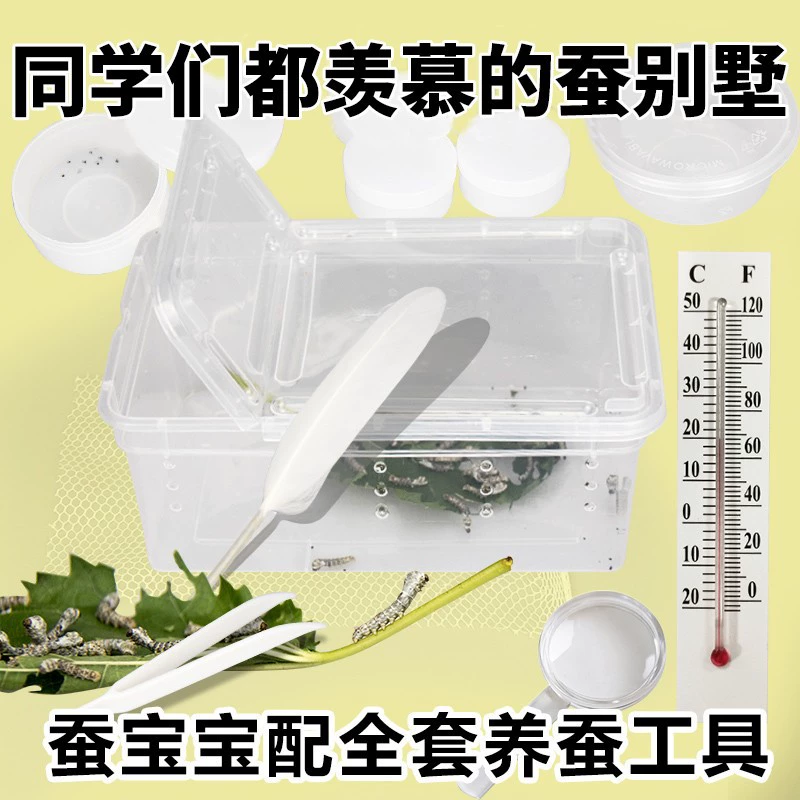 Малыш тутового шелкопряда