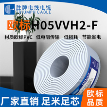 领胜 H05VVH2-F欧标扁线 CE认证多芯扁平软电缆 PVC护套电源线