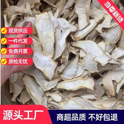 新貨杏鮑菇幹貨切片500g特産幹貝菇雞腿菇煲湯菌菇散裝農産品批發