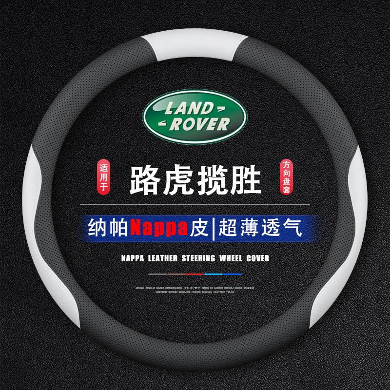 �m���2024��·�����ٷ���P��ʢ������L���������������׳�����