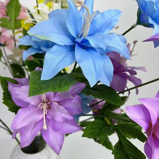 ����5�^��ˮ�ٺϸ�֦ �Ҿӕ��h�d�[�O��c���͔zӰ���Ո@ˇ����