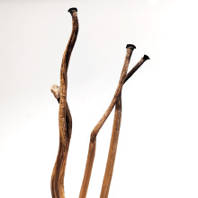 ���Uɏ��ԭ���B��ɻ��Udiy�ֹ��ӗU���~����Ȼ��֦�U���b����l