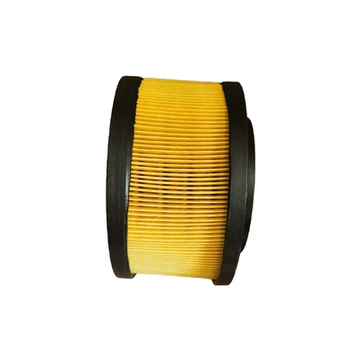 Air Filter 21646645, Air filter