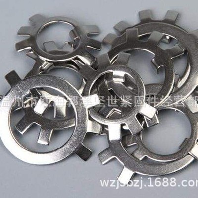 Shelf Stainless steel Nut Washer