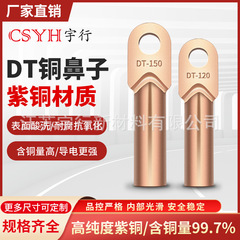 DT紫銅製銅ノーズ、銅配線ノーズ、銅管ノーズ端子台、DT-10-400MM角配線端子