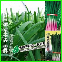 ɽ�|�߲˷N�� ���~�����t�²˷N�Ӊ۹�ط��õ��ϸ��²��� ��ζ��