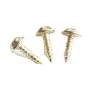 2023-11-29 16:13:25.jpg