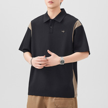 ϵײɫƴӴ̽IPOLOʿɴaeٴT.