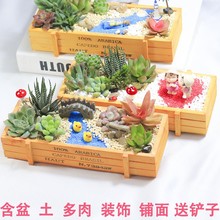 �ɶ���ֲ��M�������ײͶ���DIY΢���^���ϰ����躬���҃ȾGֲ