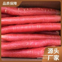 四川红萝卜新鲜包邮 沙地水果胡萝卜农家蔬菜红心脆甜沙窝 甜萝卜