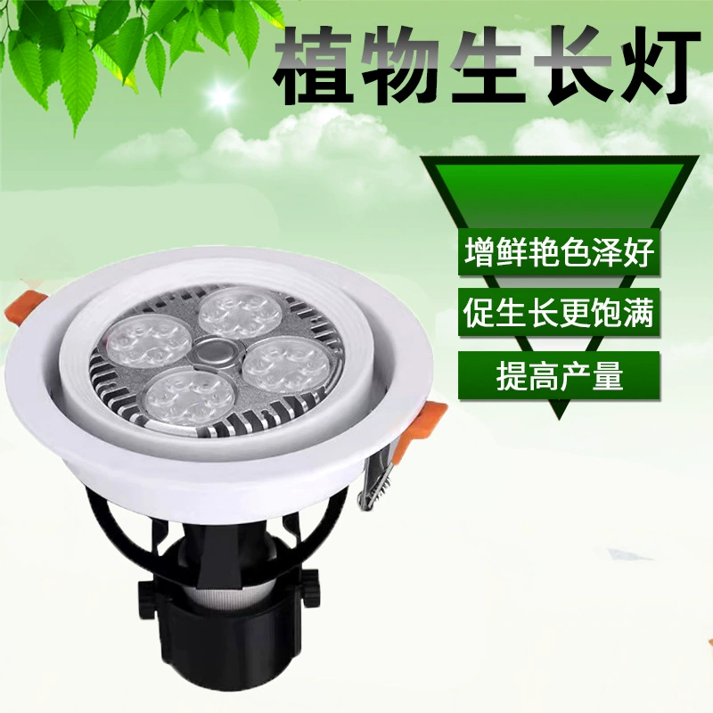 LED plant lamp, built-in fill light, lights, comfortable light spectrum
