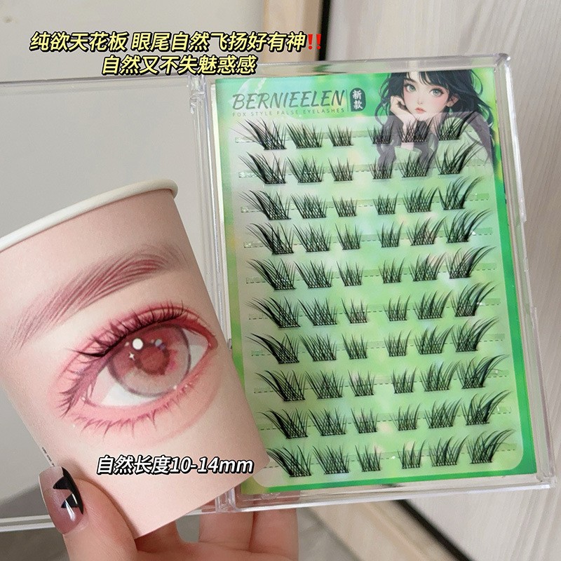 [접착제 프리 모델] 분할 다지 10열 싱글박스