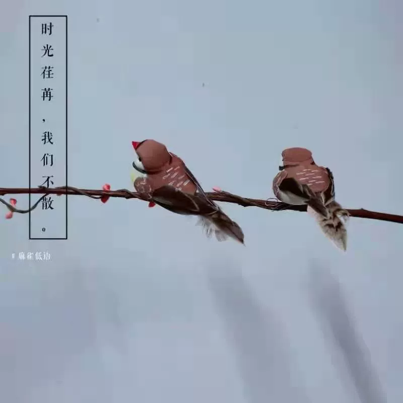 Воробей перо птицы/Коричневый Воробей/Имитация перьев птицы/RY093