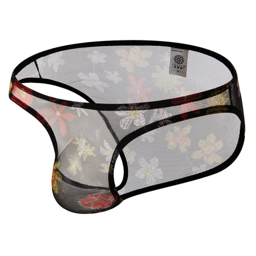 Cross-border foreign trade new style bohemian style European size see-through sexy and comfortable men's briefs men's underwear B183