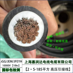 JGG10KV6-185ƽ���߉�늙C���Ӿ����˼��~о�͸ߜؽ^��ܛ���z��|