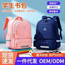 小学书包;化妆包;女士双肩包