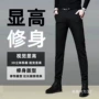 小脚弹力春夏显瘦西裤