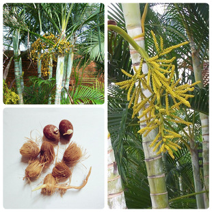 ɢβNľNчaɢbļ^PβSҬ^~N