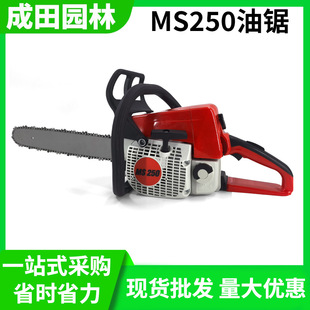 �F؛���l��Ms250����䏷�ľ䏼���С�͈@�����16/18���I����C