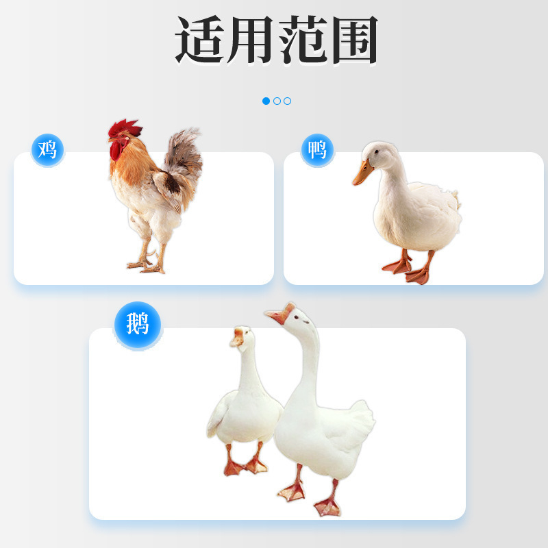 温立康鸡鸭鹅家禽养鸡专用鸡鸭鹅病全治鸡瘟鸡病呼噜饲料添加剂