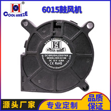 6015�ķ������PWM���ٿ�����������ë�Ǵ���ֱ���������ֱ��