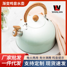 亚马逊新款淡青鸣音烧水壶不锈钢泡茶咖啡欧美鸣笛3L轻奢厨具木柄