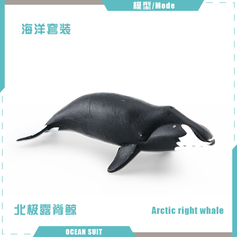 Simulación transfronteriza de una variedad de animales marinos traje de tiburón ballena tortuga delfín pingüino cangrejo criaturas marinas adornos