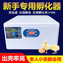 水床孵化器孵化機孵蛋器家用型全自動小型迷你水床孵化箱智能小雞