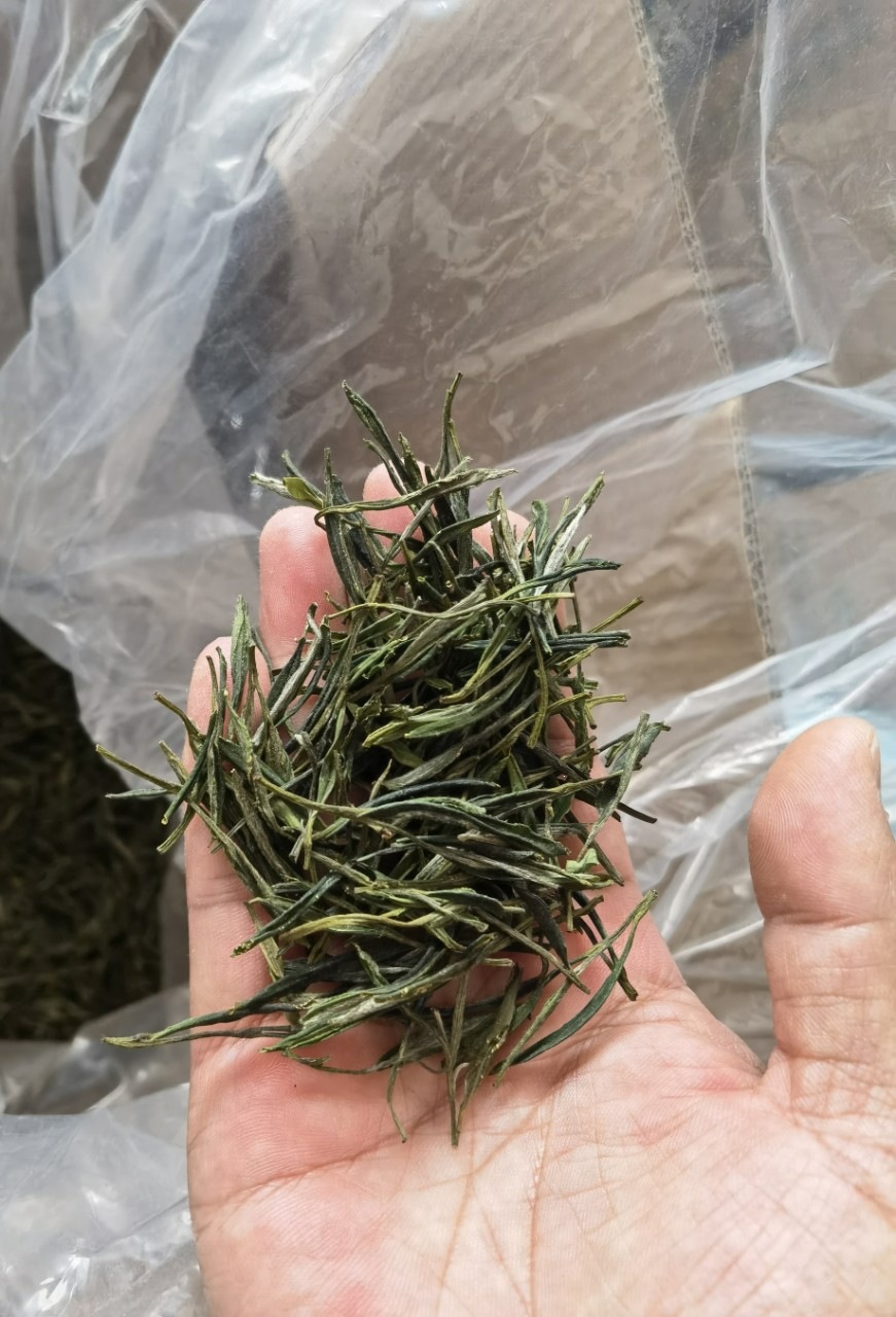 Lu An Gua Pian Green Tea 2026 Spring Pre-Rain Harvest Anhui Origin 250g Loose Leaf quality and texture