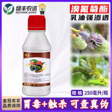 兴农达喜溴氰菊酯荔枝蝽蟓蔬菜西瓜果树辣椒桃树蚜虫专用药杀虫剂