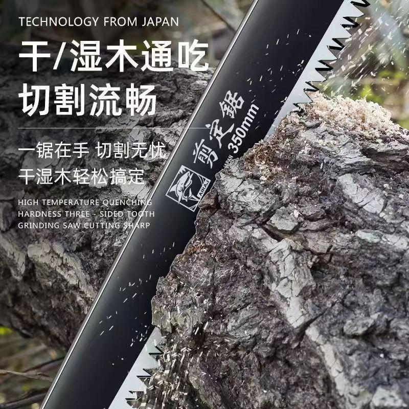 DM_20241022164322_009