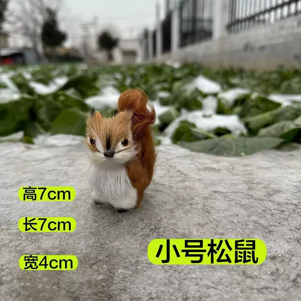 [小号松鼠7x4x7]