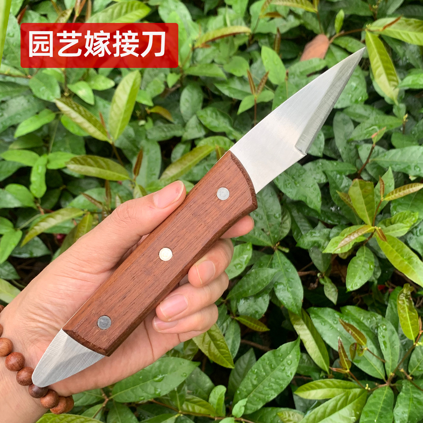 嫁接刀手工刀果树粗树接树芽接刀园艺专用工具刀嫁接神器不锈钢