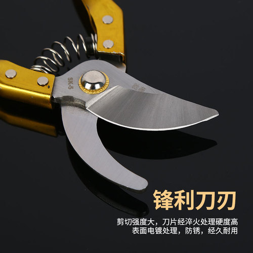 Factory garden pruning shears, manual fruit branch shears, multi-functional branch repair parts, cheap and labor-saving anti-slip garden shears