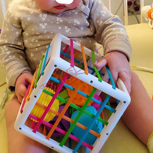 Rainbow Cesele Toy Shape Color Cognitive Hand Fine Movement Training Infant Early Education Educational Toy