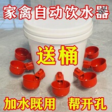 ι�uʳ��ˮ��һ�wι�u�����������h�T�r���Ԅ�ι�u�����BֳС�u��