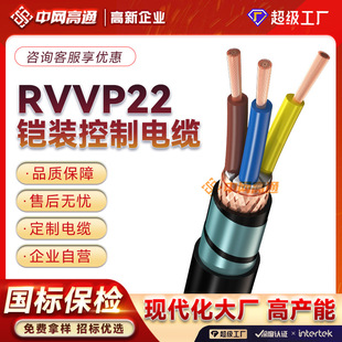 Customized Rvvp22 Armored Communication Cable Rs485 Shielded Wire Oxygen-Free Copper Core Signal Control Cable Wire