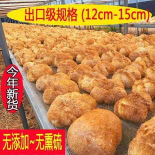 ������؛���ږ|���L��ɽҰ�����^����؛500g���rĢ���Bθ