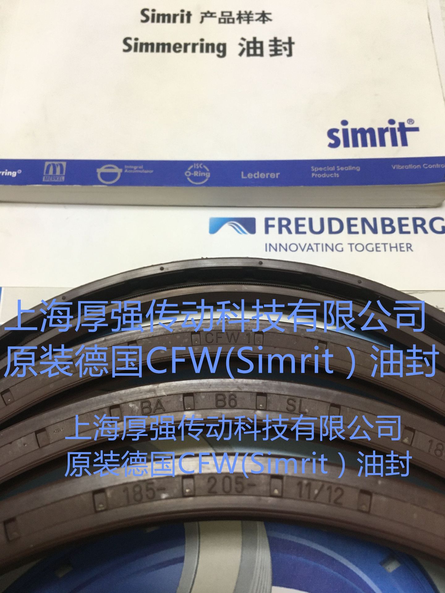 德国CFW/Simrit科德宝FREUDENBERG油封CFW 1 BAB6SL185-205-11/12