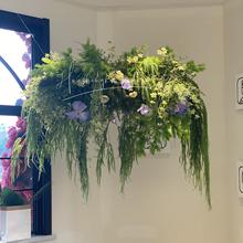 �Gֲ�����J���ݷ���ٻ�ɭϵ��Y�����Y�û����쾰�ٻ����Q���l