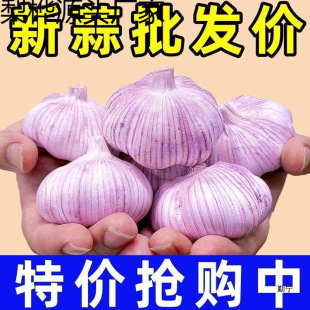 ���^��Ƥ�tƤ�����r��������l���r���ɽ�|�������l�^